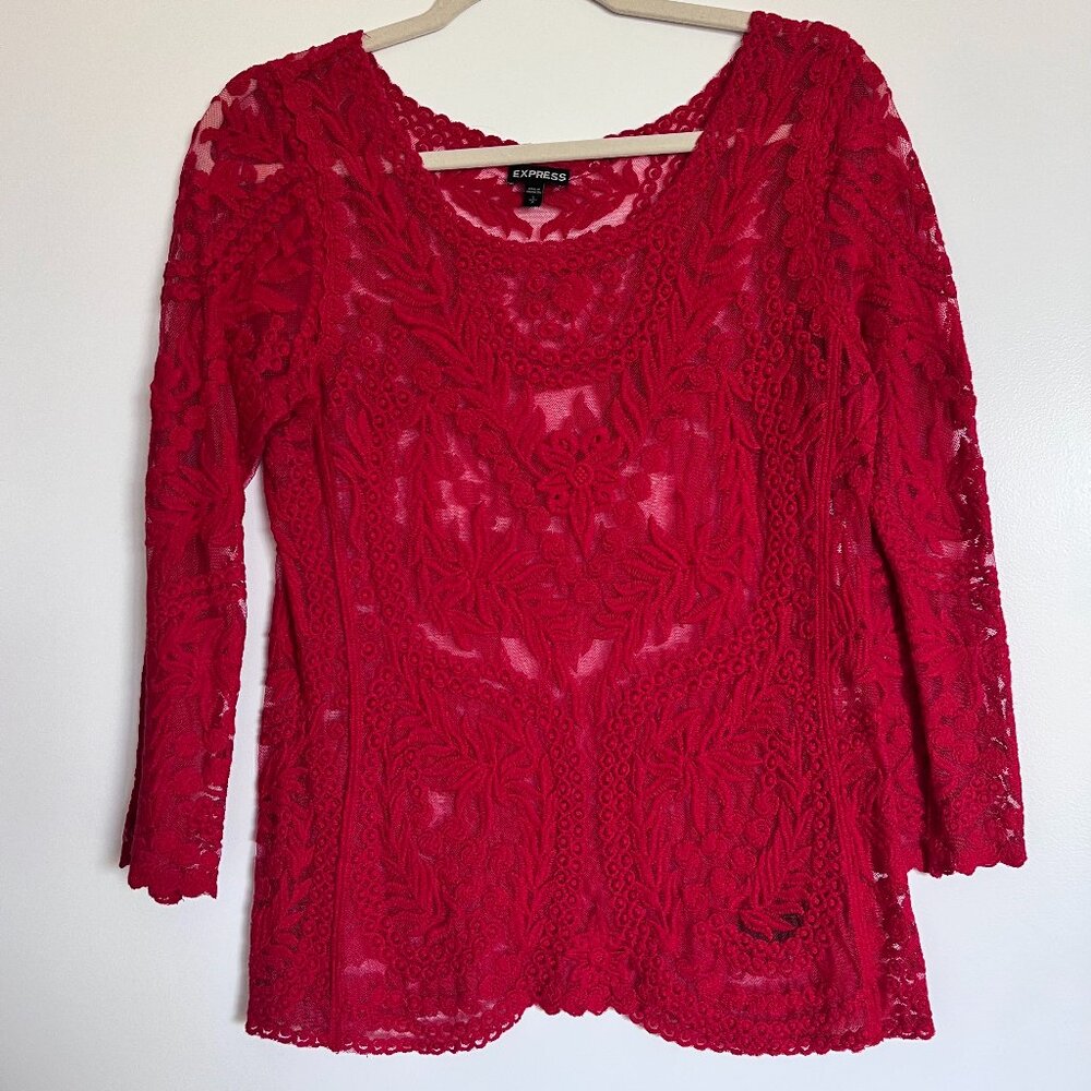 Express Lace Top | Vintage Embroidered Mesh Romantic Blouse